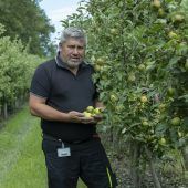 Hagel vernichtete vielversprechende Ernte