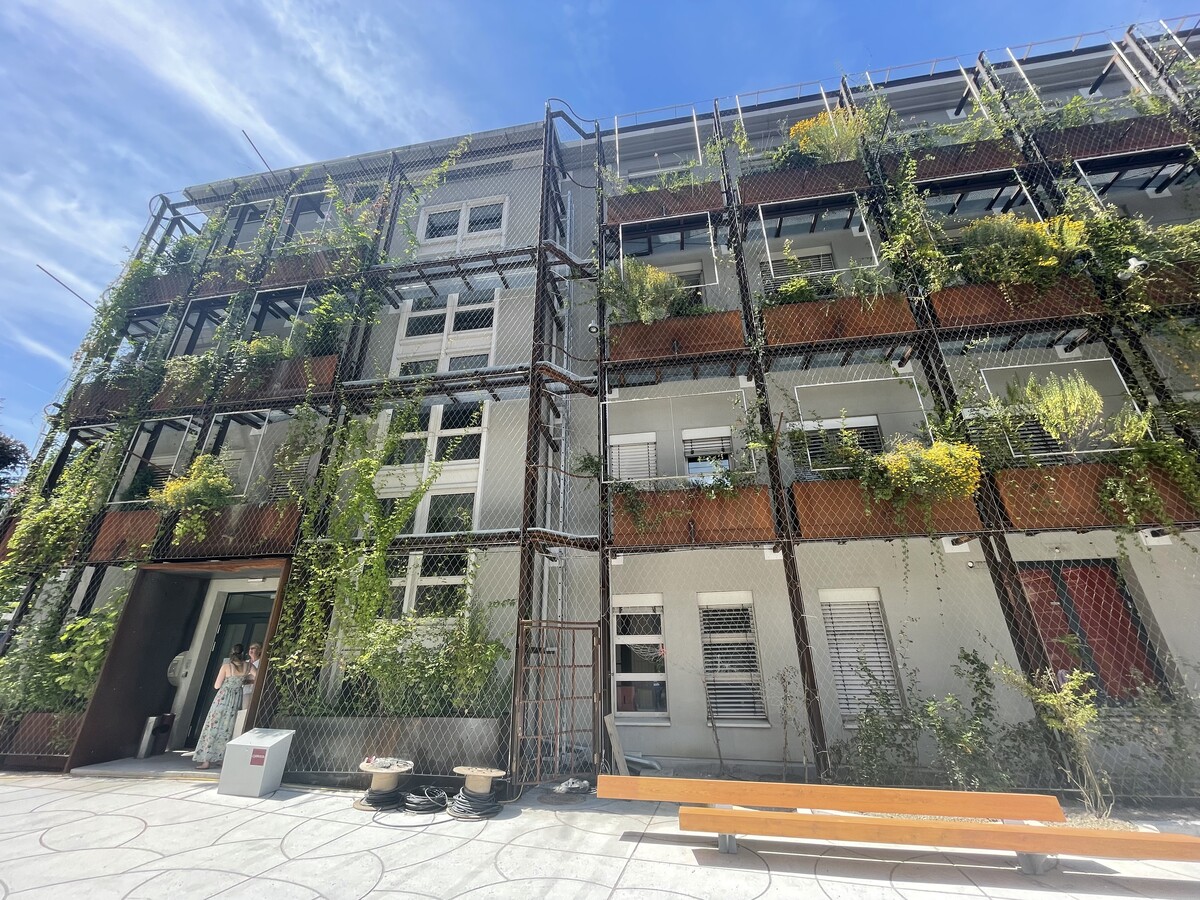 In etwa einem Jahr soll die gesamte Fassade komplett bewachsen sein. VN/Linher