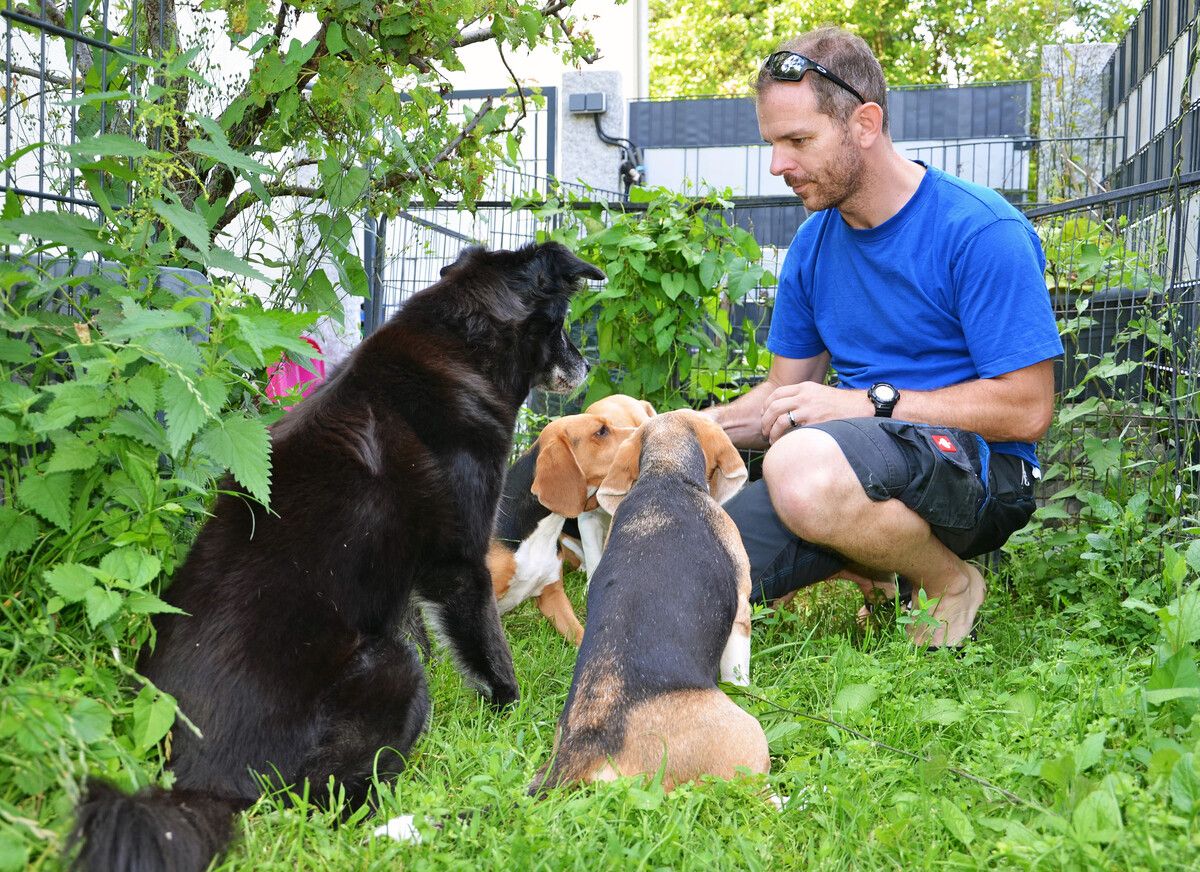Leckerli für den Flat-Coated-Retriever-Mischling „Schlumpf“ sowie die Beagles „Cinderella“, „Mausebär“ und „Noelani“.