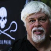 Grönland nimmt Sea-Shepherd-Gründer fest