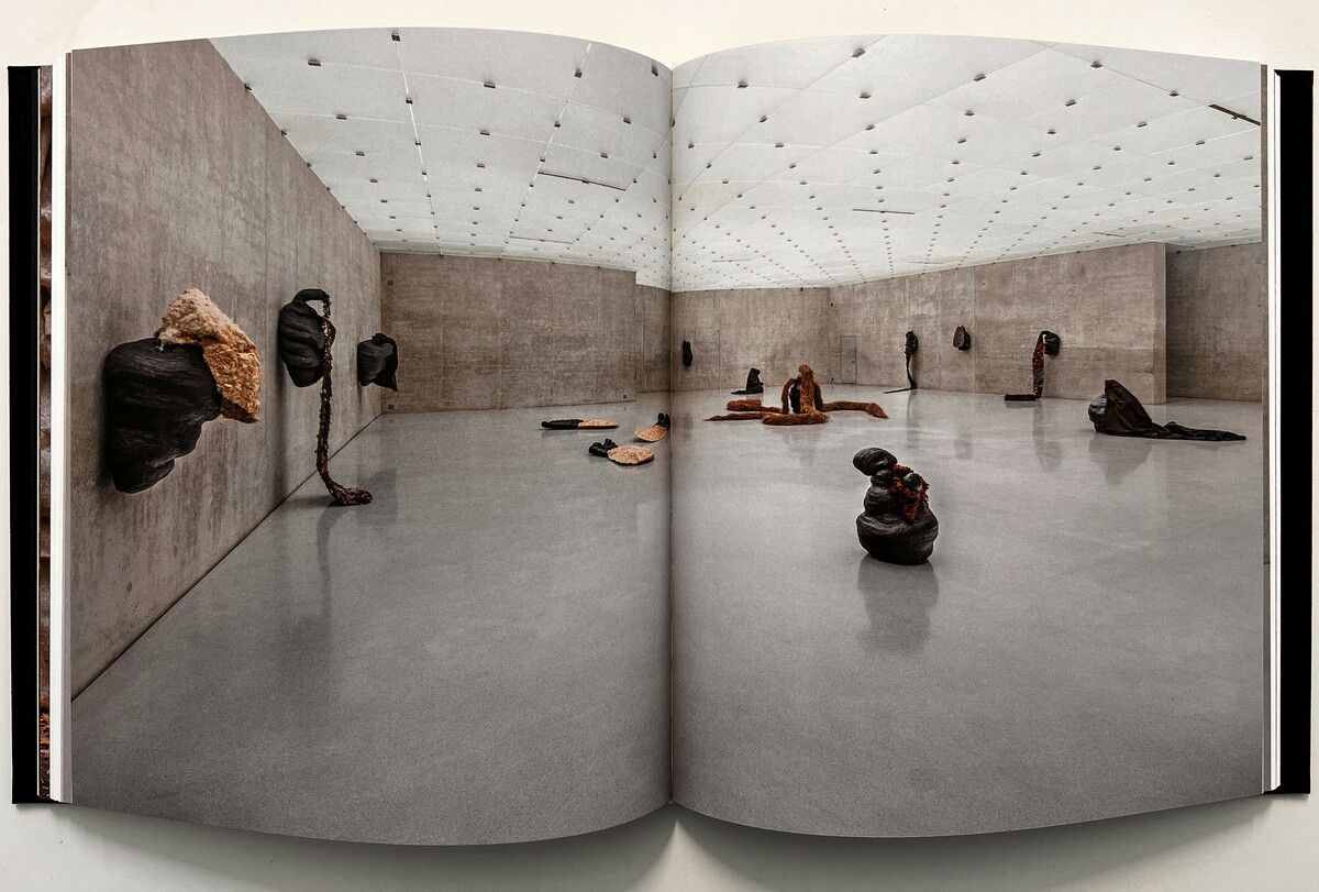 Solange Pessoa: Die Publikation zur Ausstellung der brasilianischen Künstlerin.Markus Tretter