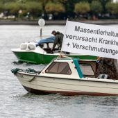 Aquakultur im Bodensee wird diskutiert