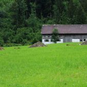 Für die Wälderhalle wird bereits gebaggert