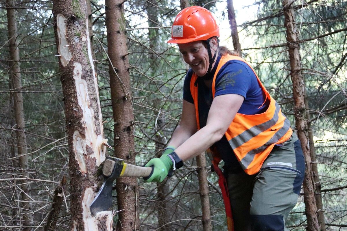 Beim Bergwaldprojekt engagieren sich Freiwillige ehrenamtlich.