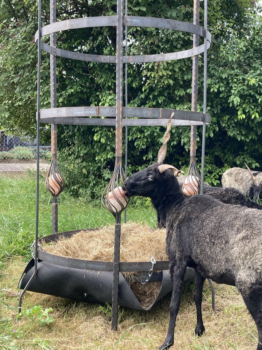 Der Vorarlberger verbindet Landwirtschaft und Kunst.Weithas