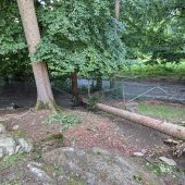 Schäden im Wildpark