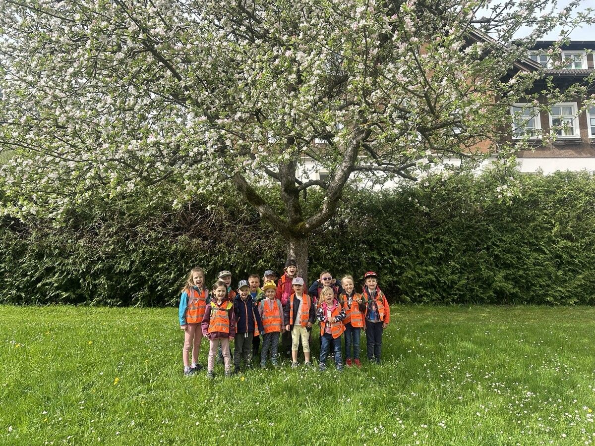 Ein Jahr voller Abenteuer und schöner Tage im Kindergarten Gantschier geht zu Ende. ⇒
⇒
Kindergarten Gantschier