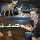Mit Tarnkappe im Bienenstock