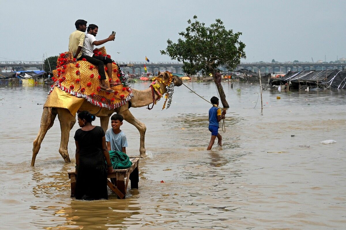 Erhöhte Wasserstände am Fluss Ganges in Indien sorgen für diese Bilder. AFP