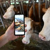 Digitaler Betriebshelfer