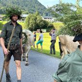 Großes Gebimmel in Au