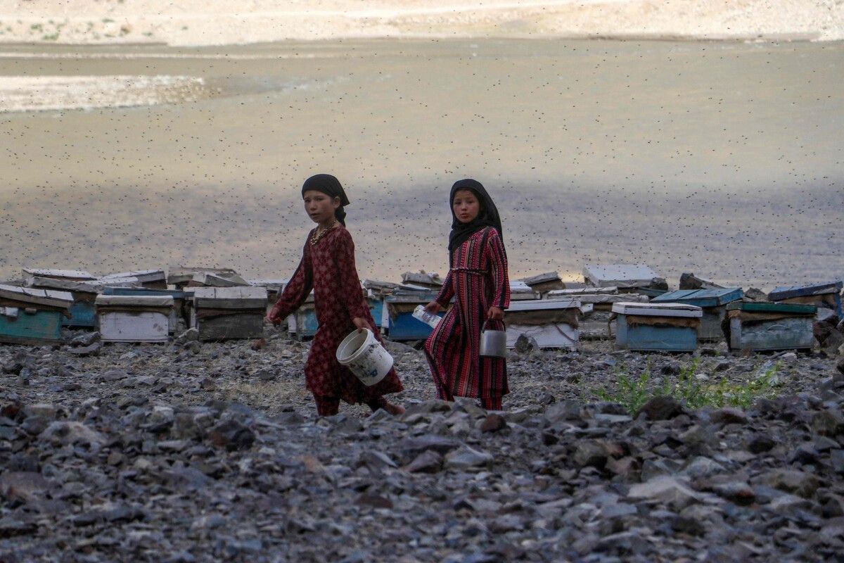 Kinder müssen oft stundenlang gehen, um Wasser zu holen.⇒afp
