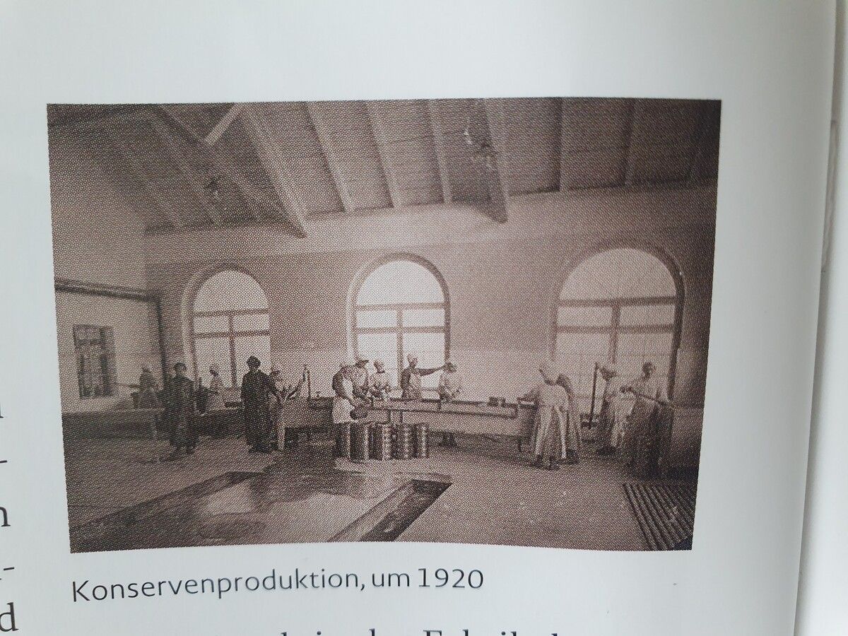 Konservenproduktion um 1920.⇒