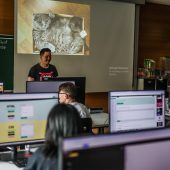Code Base Camp: von Katzen in Kartons zu HTML-Tags