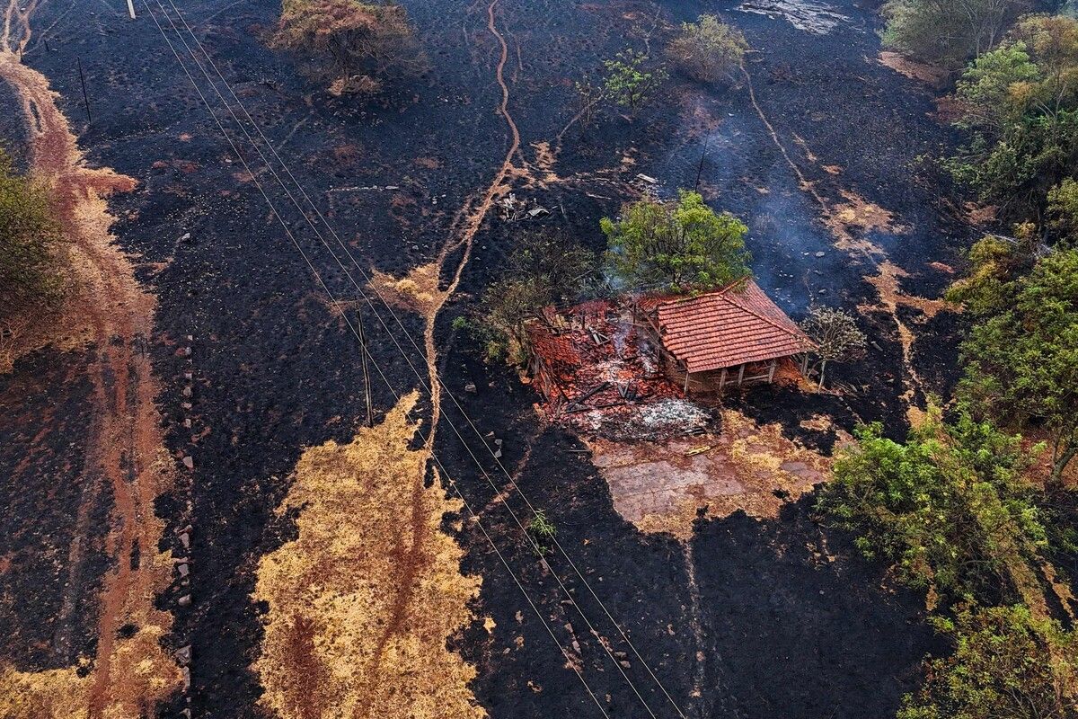 Schwere Waldbrände im Südosten Brasiliens führten zur Ausrufung höchster Alarmbereitschaft in rund 30 Städten im Bundesstaat Sao Paulo. AFP