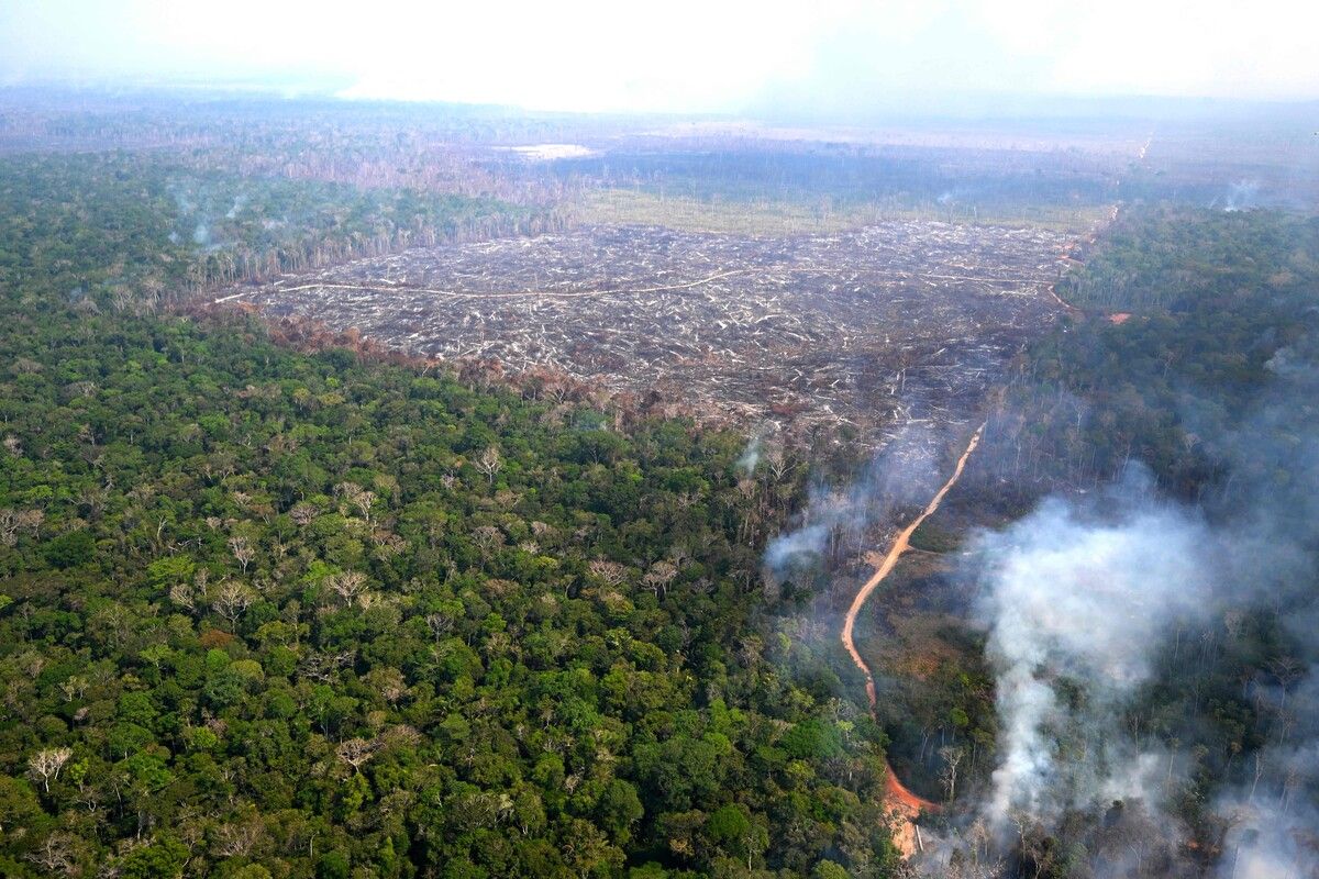 Der Regenwald spielt eine zentrale Rolle im Kampf gegen den Klimawandel.⇒AFP