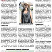 Tempolimits in Lustenau