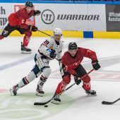 Pioneers waren zu harmlos