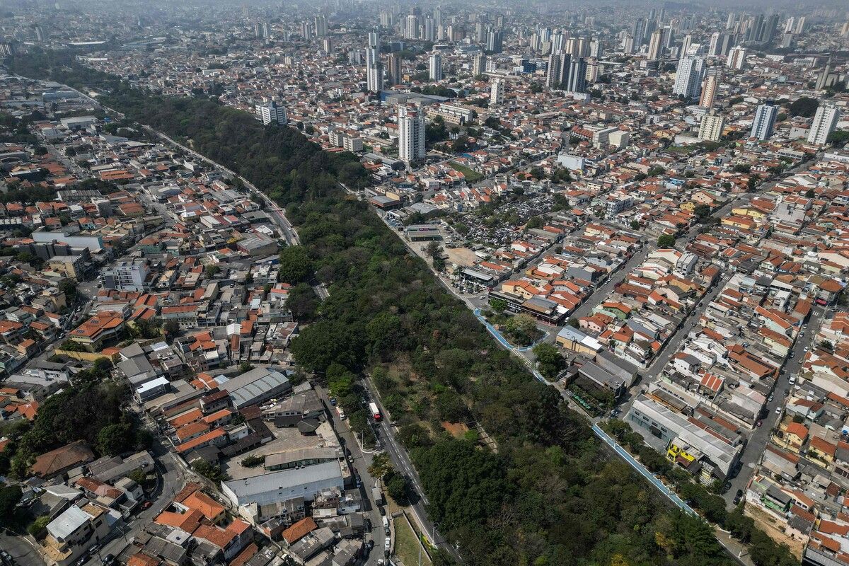 Der Brasilianer Helio da Silva hat in knapp 20 Jahren 40.000 Bäume in Sao Paulo gepflanzt: Sein grünes Zeichen gegen die Klimakrise. AFP