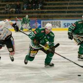 Teams aus vier Ländern kämpfen um AHL-Krone