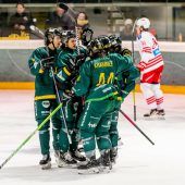 ÖEHV kündigt neue  nationale Liga an