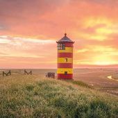 Ein Fotomotiv der besonderen Art