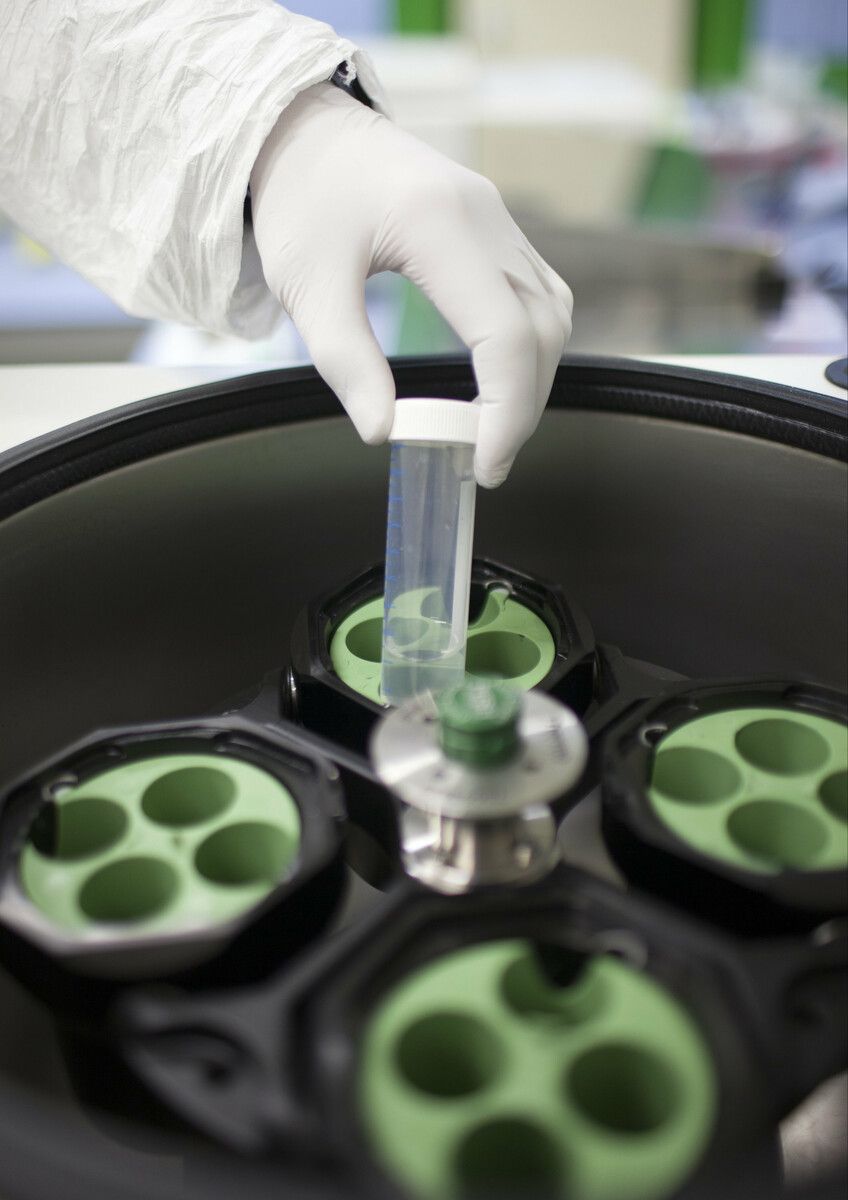 Der Virus-Serotyp 3 konnte bei einer Kuh aus Vorarlberg labordiagnostisch nachgewiesen werden. Für Menschen besteht keine Infektionsgefahr. ⇒DPA