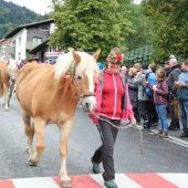 Großer Alpabtrieb lockte Hunderte Besucher an