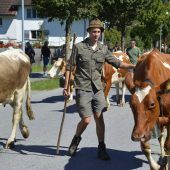 Rauschendes Fest beim Alpabtrieb