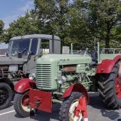 Kühe und Traktoren mitten in der Stadt