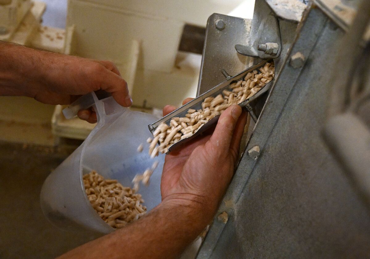 Die Pellets aus Biomasse sind eine Alternative zu Gas und Öl – aber mit ganz eigenen Herausforderungen verbunden. ⇒APA
