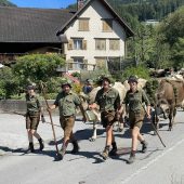 Alpabtrieb in Satteins am 7. September