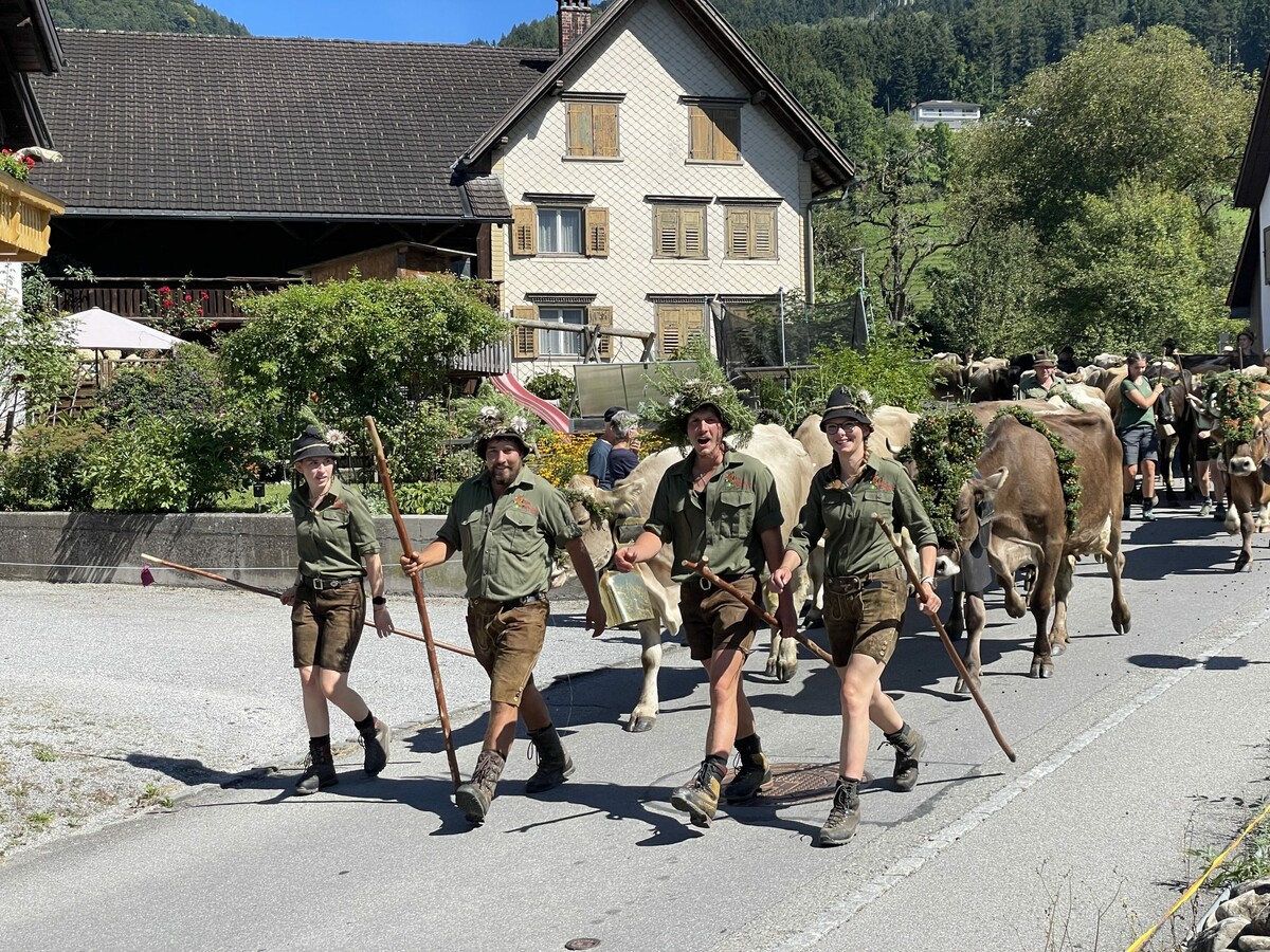 Diesen Samstag kehren die Kühe mit ihren Älplerinnen und Älplern ins Dorf zurück.⇒mon