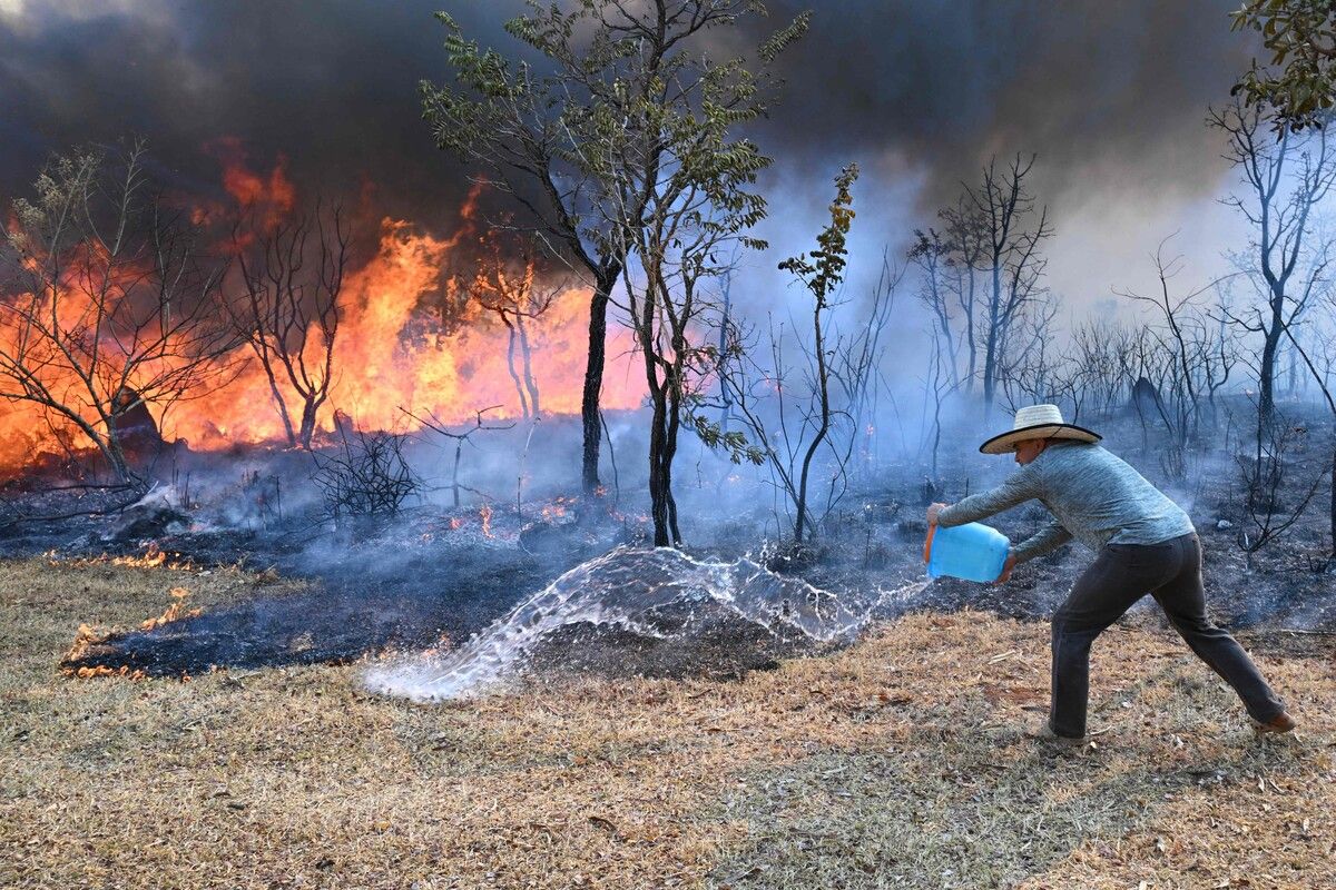 Ein Anwohner in der Nähe des Brasilia-Nationalparks in Brasilien versucht einen Waldbrand einzudämmen, bevor er sein Haus erreicht. AFP