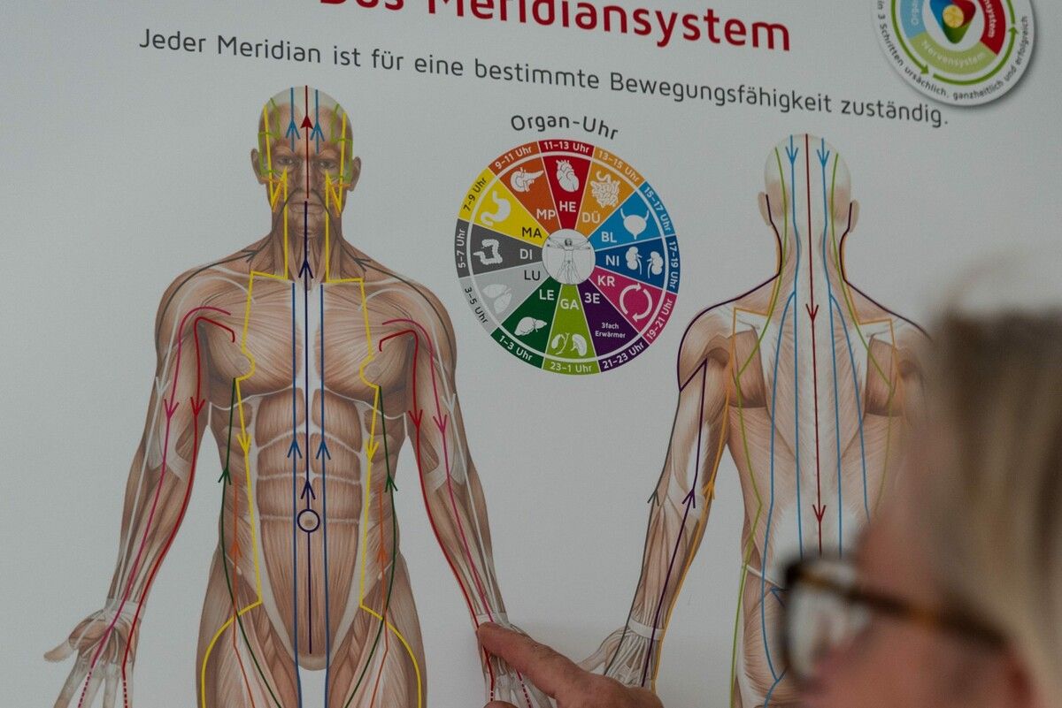 Einen Vortrag zum Cell-Re-Active-Training gibt es im Domino in Frastanz.⇒heike zottele