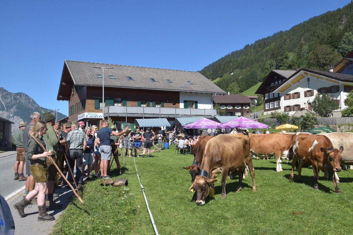 Erfolgreiche Alpabtriebe sind beliebte Fotomotive. ⇒CO