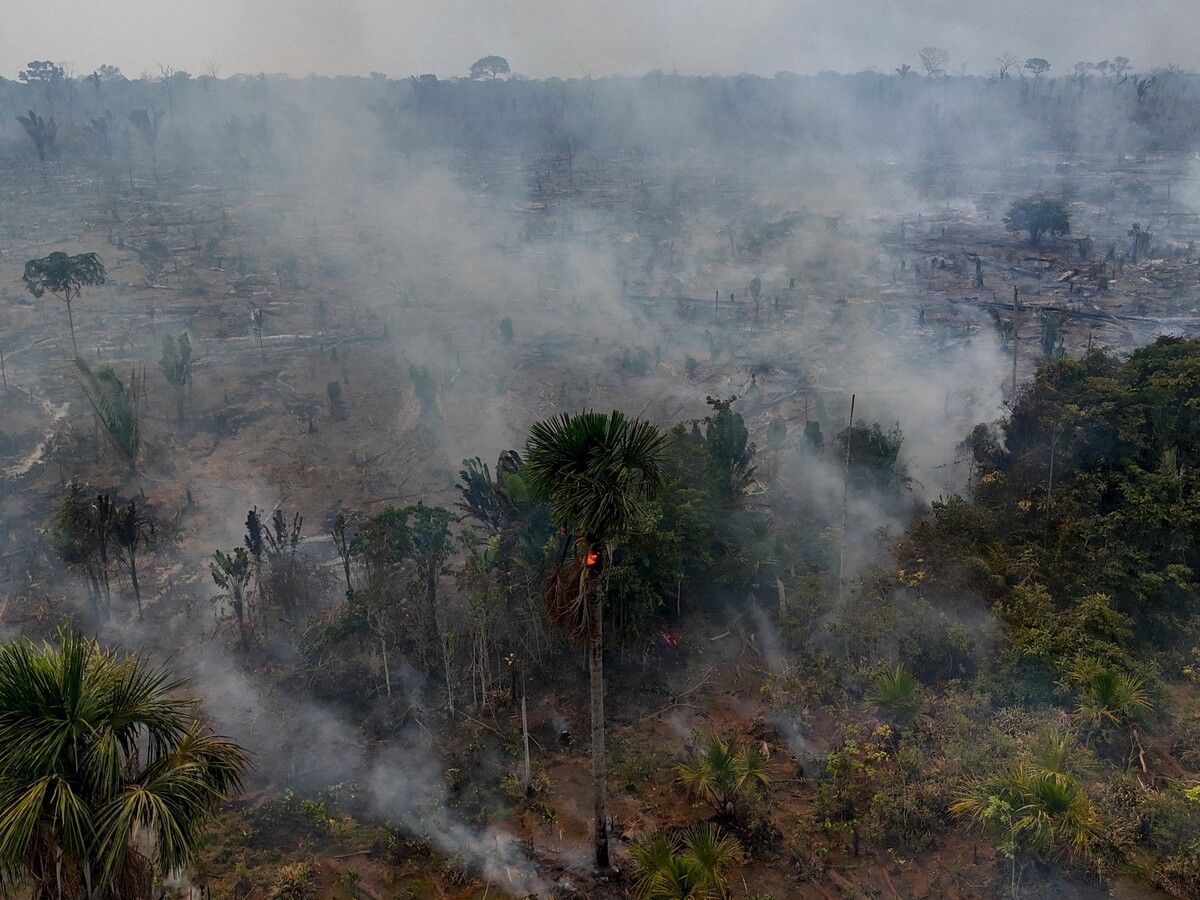 Im brasilianischen Amazonasgebiet toben die schwersten Brände seit fast 20 Jahren. Seit Jahresbeginn wurden 70.402 Feuer registriert. AFP