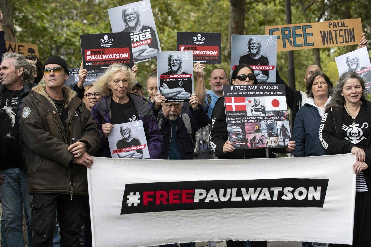 In Dänemark wird gegen die Haft von Anti-Walfangaktivist Paul Watson protestiert. Japan hatte einen internationalen Haftbefehl ausgestellt. AFP