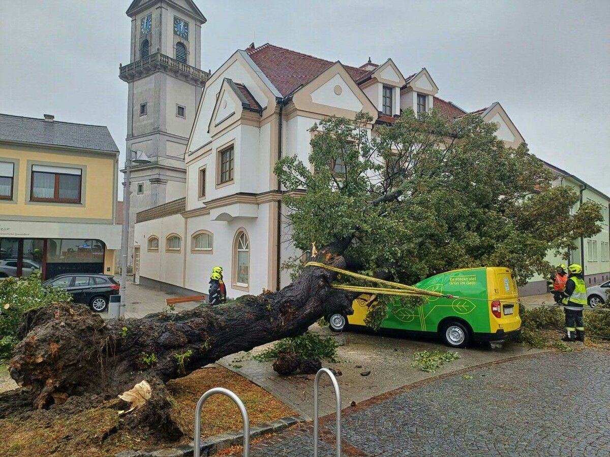 In Purbach (Bezirk Eisenstadt Umgebung) stürzte mitten im Stadtzentrum ein riesiger Baum auf ein Postauto.⇒APA