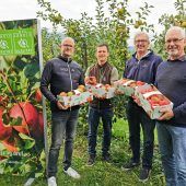 Drittbeste Ernte und der 29er als Shootingstar