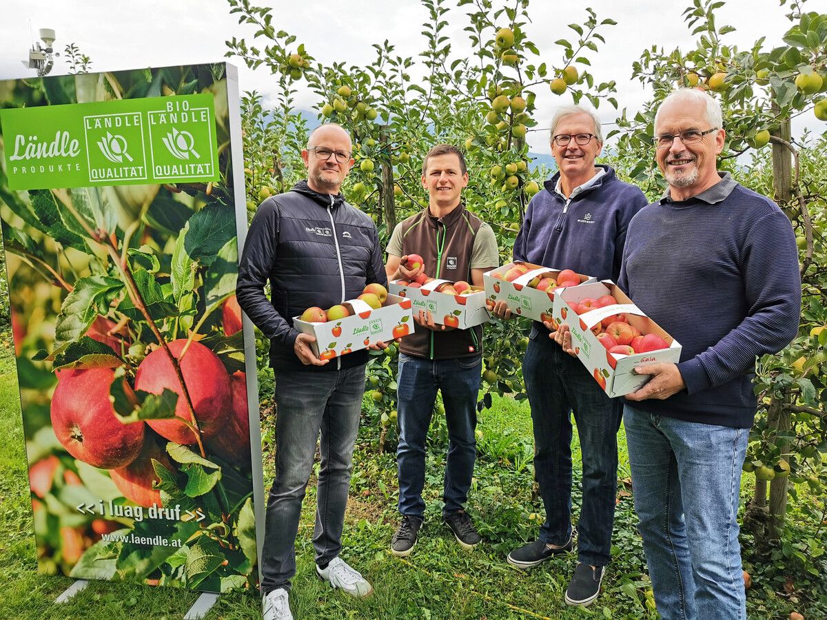 Marcel Strauß, Simon Matt, Jens Blum und Ulrich Höfert mit der reichen Ernte.⇒Ländle Marketing