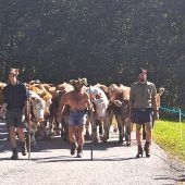 Die Helden des Alpsommers