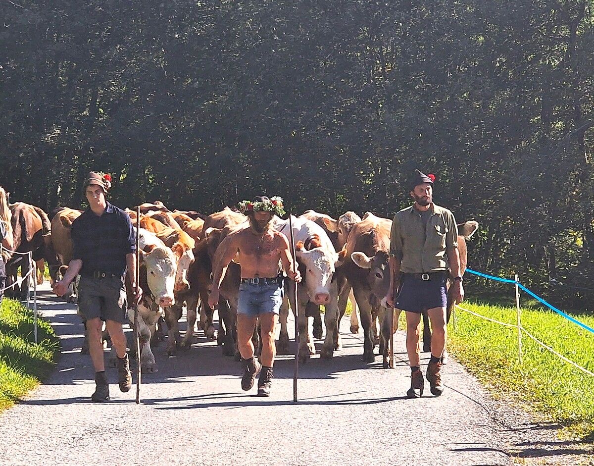 Michael Schelling (Mitte) brachte mit seinen Helfern 240 Tiere sicher ins Tal. ⇒EST