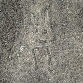 Forscher entdecken 300 neue Scharrbilder in der Nazca-Wüste