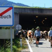 Das letzte große „Huozüho“ im Wald