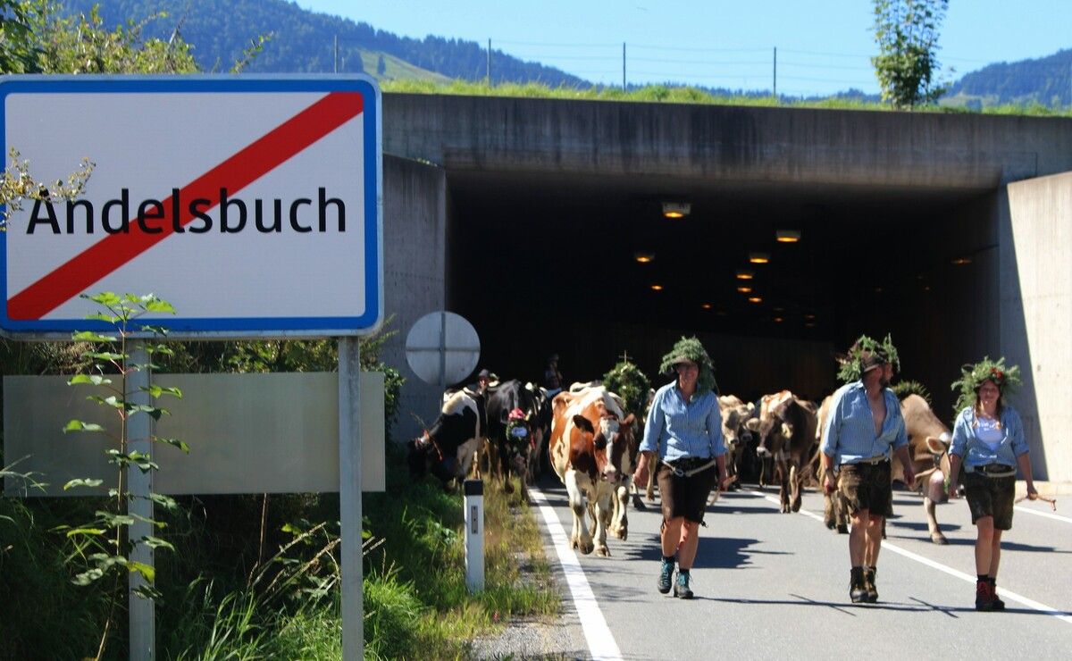 Noch einmal ist am Samstag die Geduld der Autofahrer gefordert, wie zuletzt im Hinterwald oder am Bühel-Tunnel (Bild).⇒STP