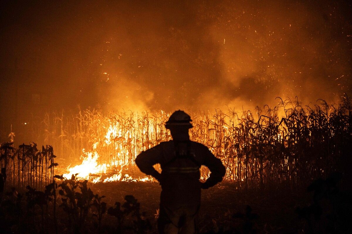 Tausende Feuerwehrleute kämpfen derzeit gegen etliche Waldbrände in Portugal.⇒afp
