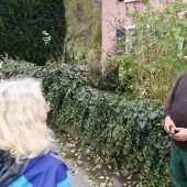 Der fachgerechte Zierhölzerschnitt