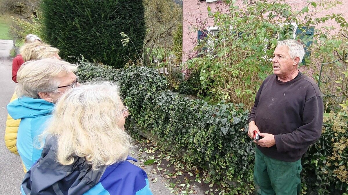 Allerhand Wissenswertes über den Zierstrauchschnitt lernten die Teilnehmer auf einem Kurs des OGV Frastanz. ⇒HE