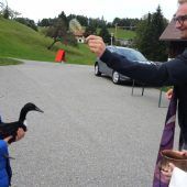 Gottes Segen für Gurtiser Tiere